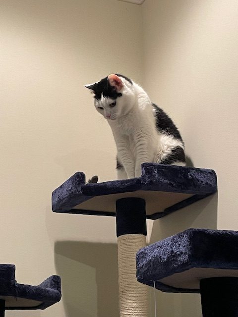 Crafting With the Hubby