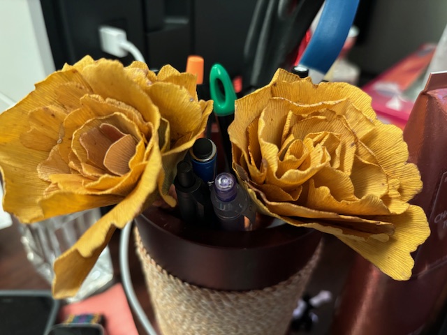 Nature’s Beauty and Socks