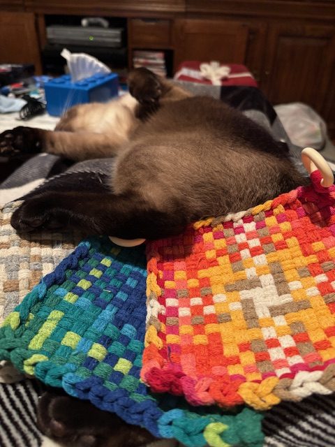 A Parade of Potholders