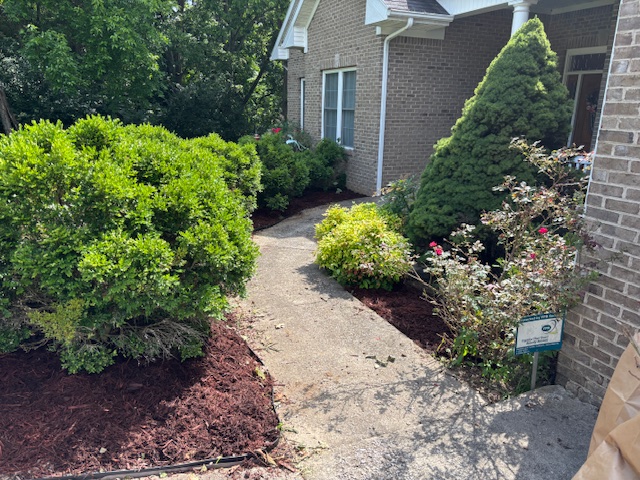 A well-maintained front landscaping area featuring freshly mulched flower beds, green shrubbery, and a clear pathway leading to a house.