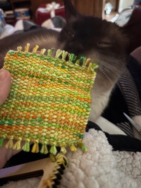 A close-up of a hand holding a woven coaster with green and orange patterns, while a cat's face is partially visible in the background, appearing curious.