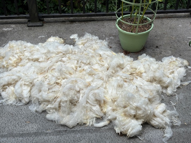 Cleaning Fleece