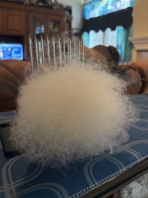 Wool combs displaying a fluffy cloud of unspun fleece, surrounded by sharp metal teeth, resting on a patterned surface with blurred furniture in the background.