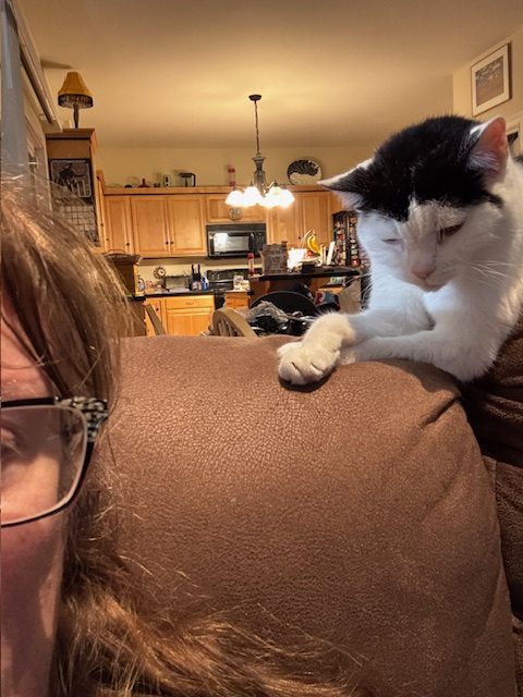 A close-up image of a person with glasses and messy hair, resting on a brown couch with a white and black cat sitting next to them, looking downward. In the background, a modern kitchen is visible.