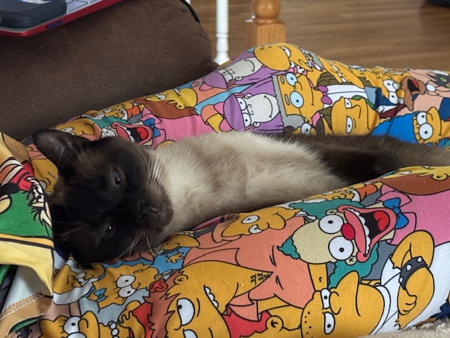 A relaxed Siamese cat lying on a colorful blanket featuring various cartoon characters.