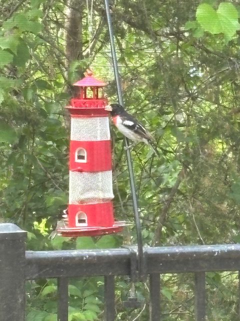 A bird perched on a lighthouse-shaped bird feeder surrounded by greenery.