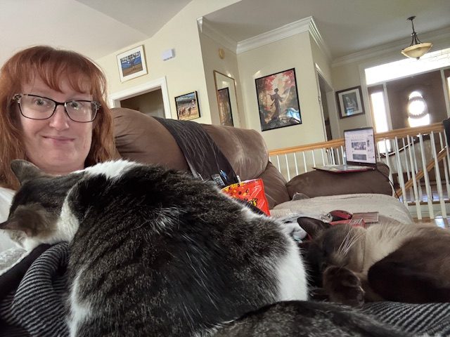 Cats