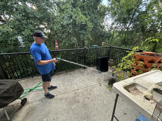 Brian’s Raccoon Battle